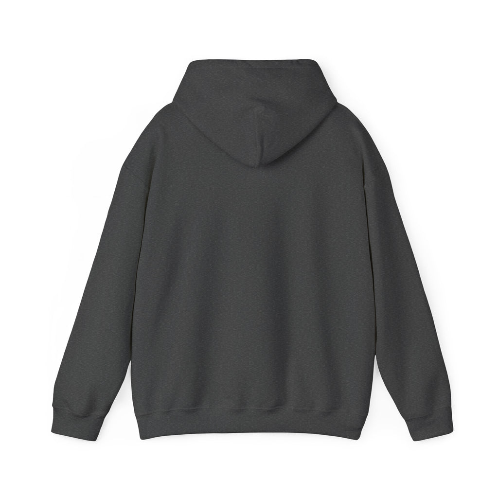 Hoodie — "This Is Me Being Reasonable" Graphic Pullover