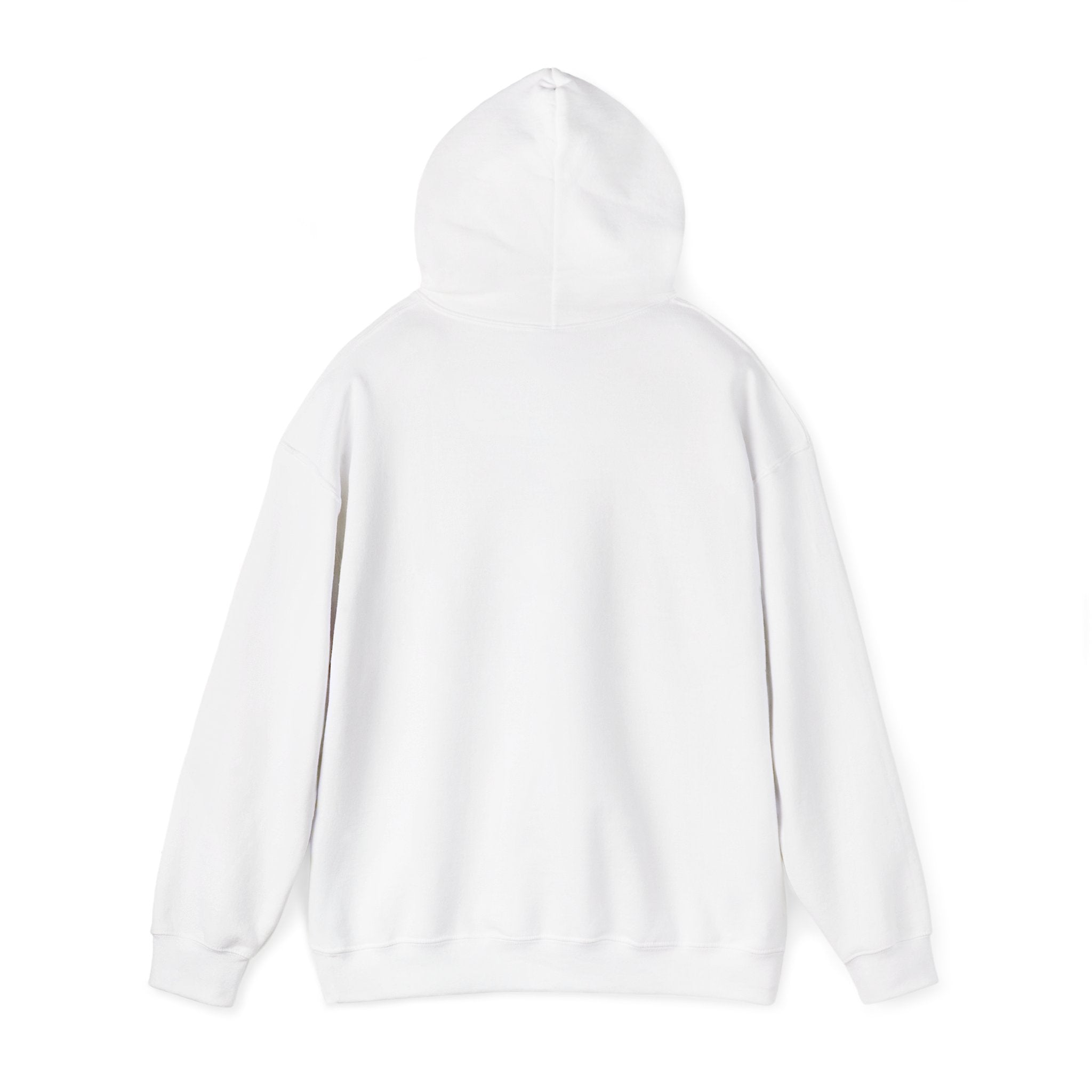 Hoodie - "Hot Flashes & Zero Tolerance" Retro Graphic Women’s Men’s Menopause Humor Pullover
