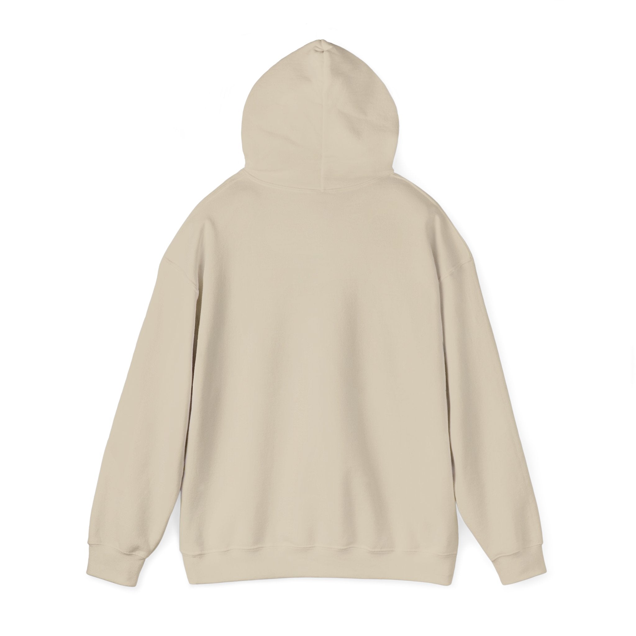 Hoodie — "This Is Me Being Reasonable" Graphic Pullover