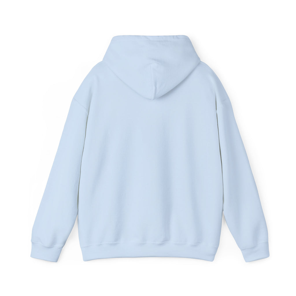 Hoodie - "Hot Flashes & Zero Tolerance" Retro Graphic Women’s Men’s Menopause Humor Pullover