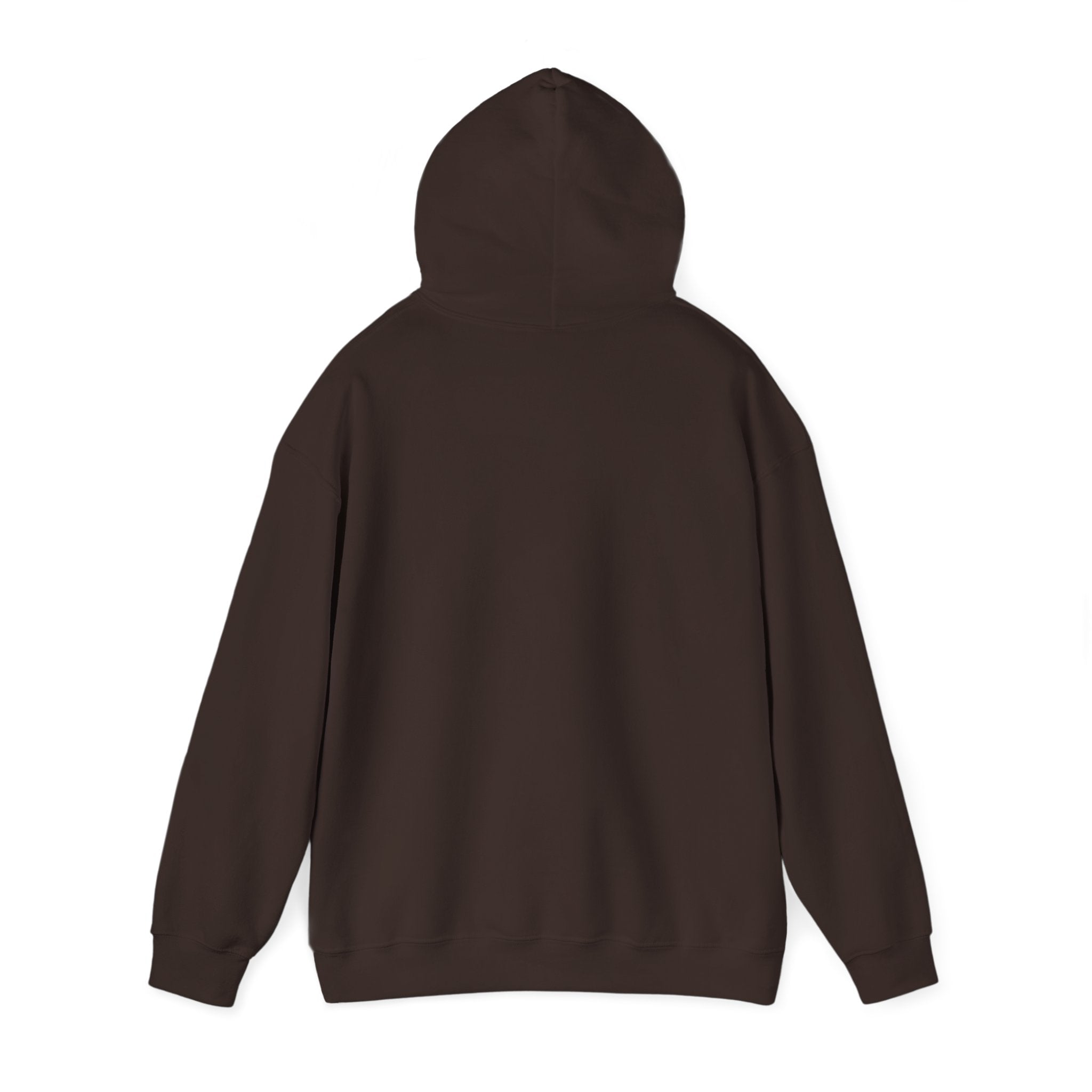 Hoodie - "Hot Flashes & Zero Tolerance" Retro Graphic Women’s Men’s Menopause Humor Pullover