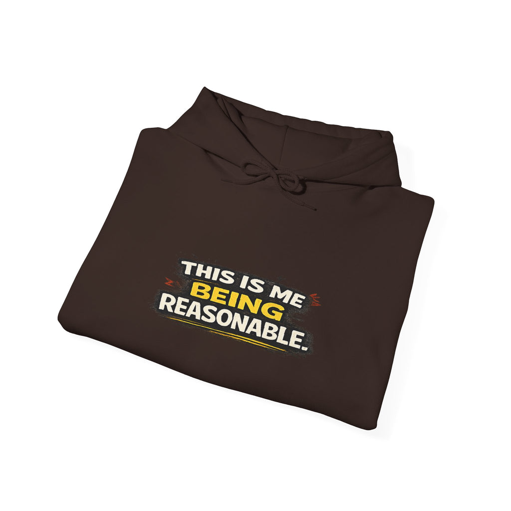 Hoodie — "This Is Me Being Reasonable" Graphic Pullover