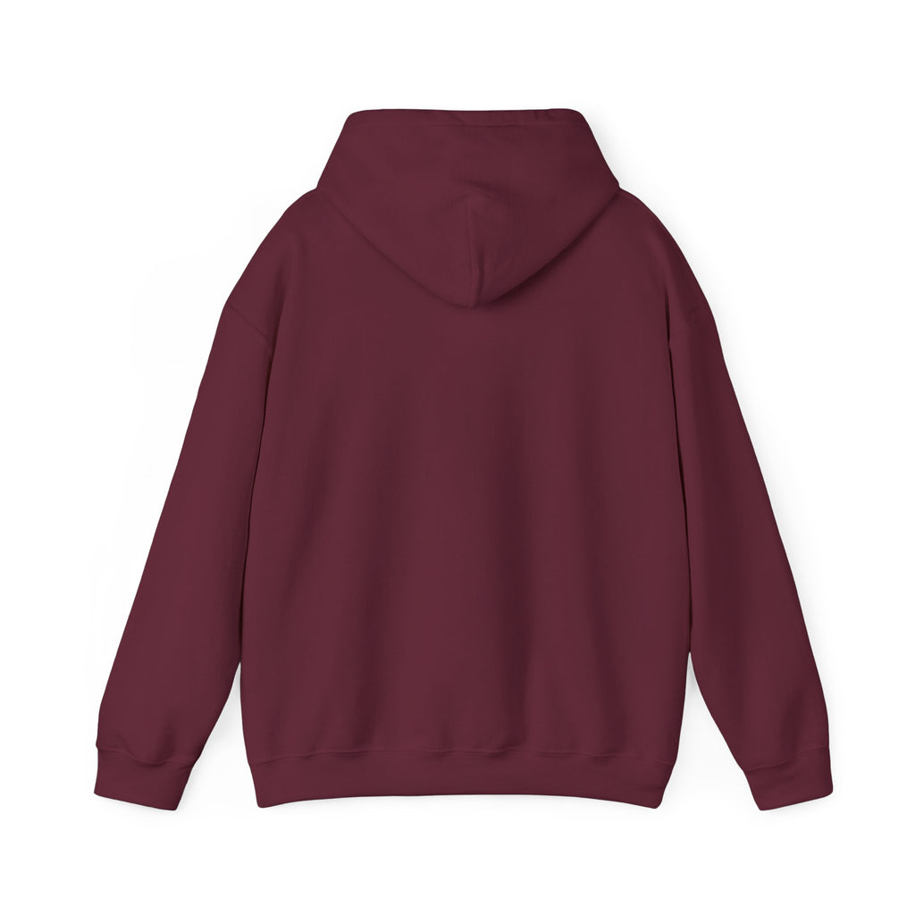 Perimenopause Hoodie — Minimalist Awareness Sweatshirt for Women