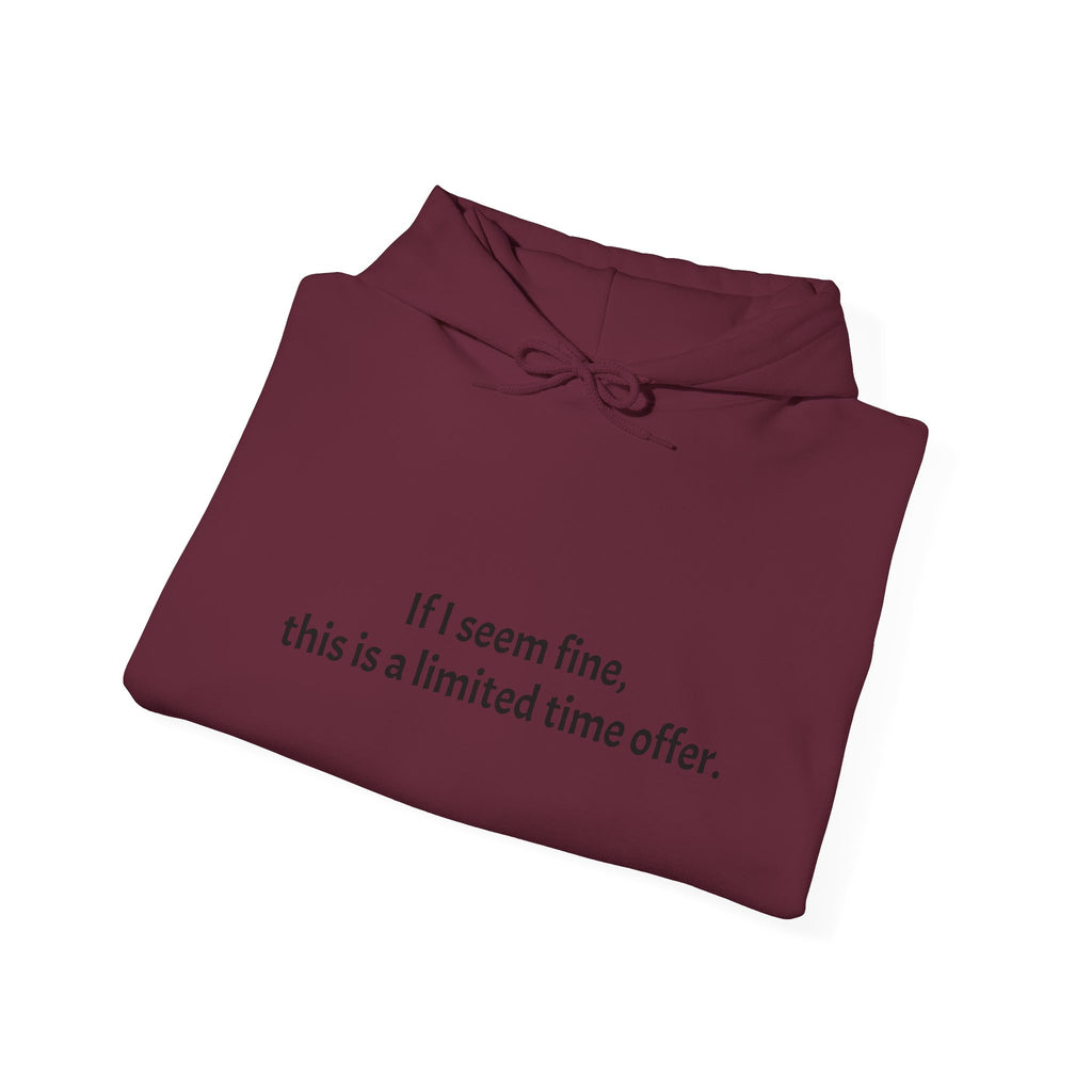 Hoodie — “If I seem fine, this is a limited time offer.” Minimal Comfort Pullover