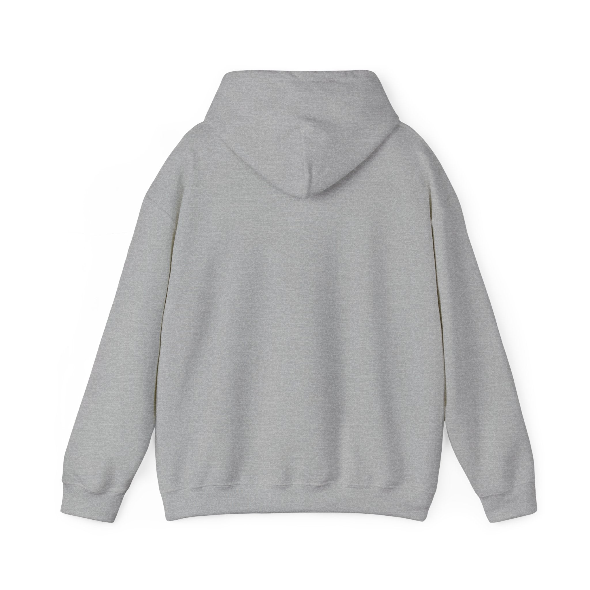 I'm Hot! (and sweaty) Hooded Sweatshirt — Minimal Graphic Cozy Pullover