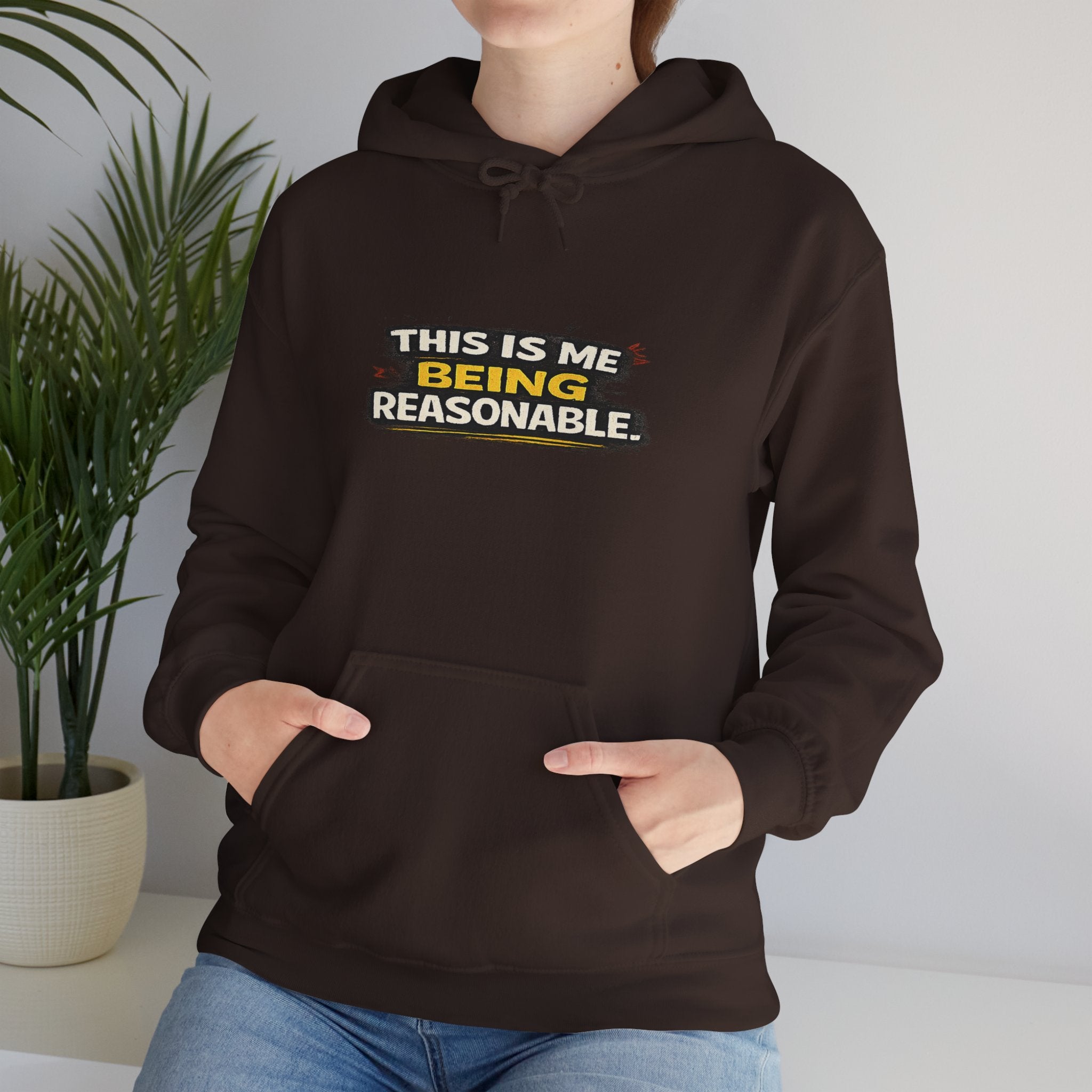 Hoodie — "This Is Me Being Reasonable" Graphic Pullover