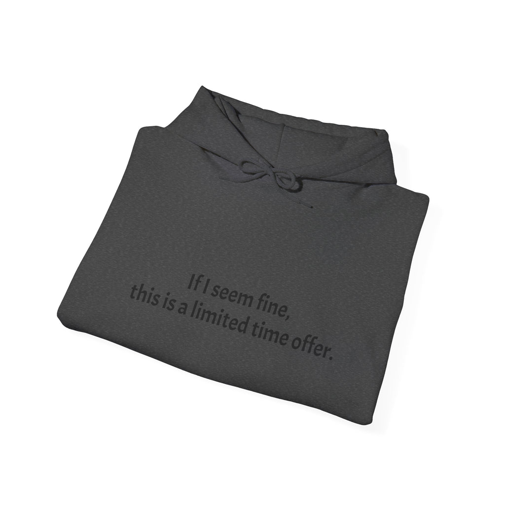 Hoodie — “If I seem fine, this is a limited time offer.” Minimal Comfort Pullover