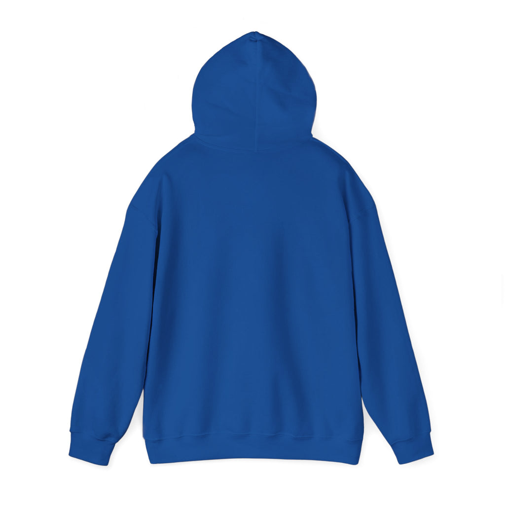 Hoodie — "This Is Me Being Reasonable" Graphic Pullover