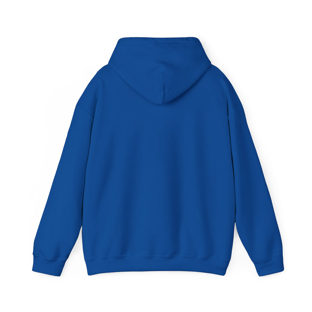 Perimenopause Hoodie — Minimalist Awareness Sweatshirt for Women