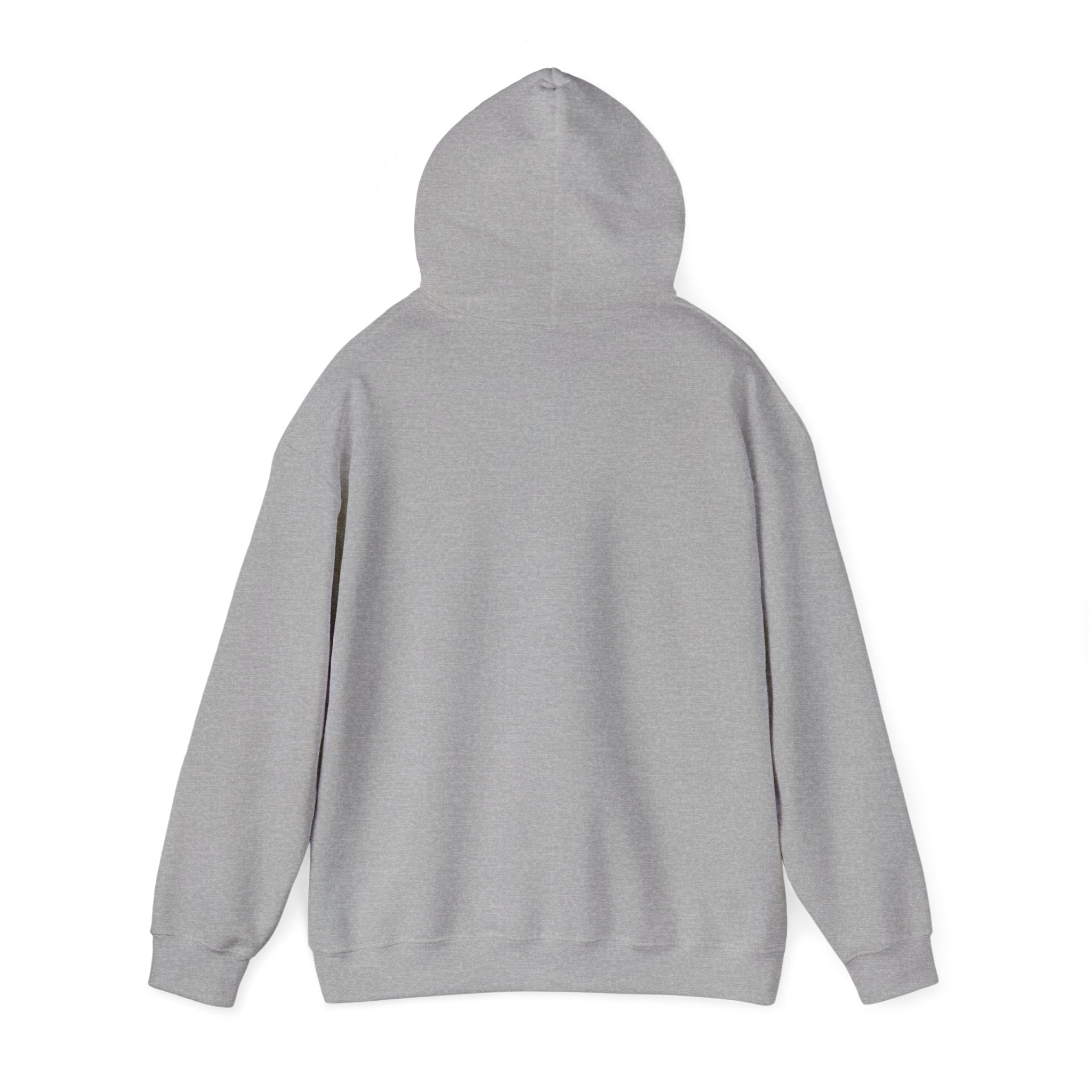 Perimenopause Hoodie — Minimalist Awareness Sweatshirt for Women
