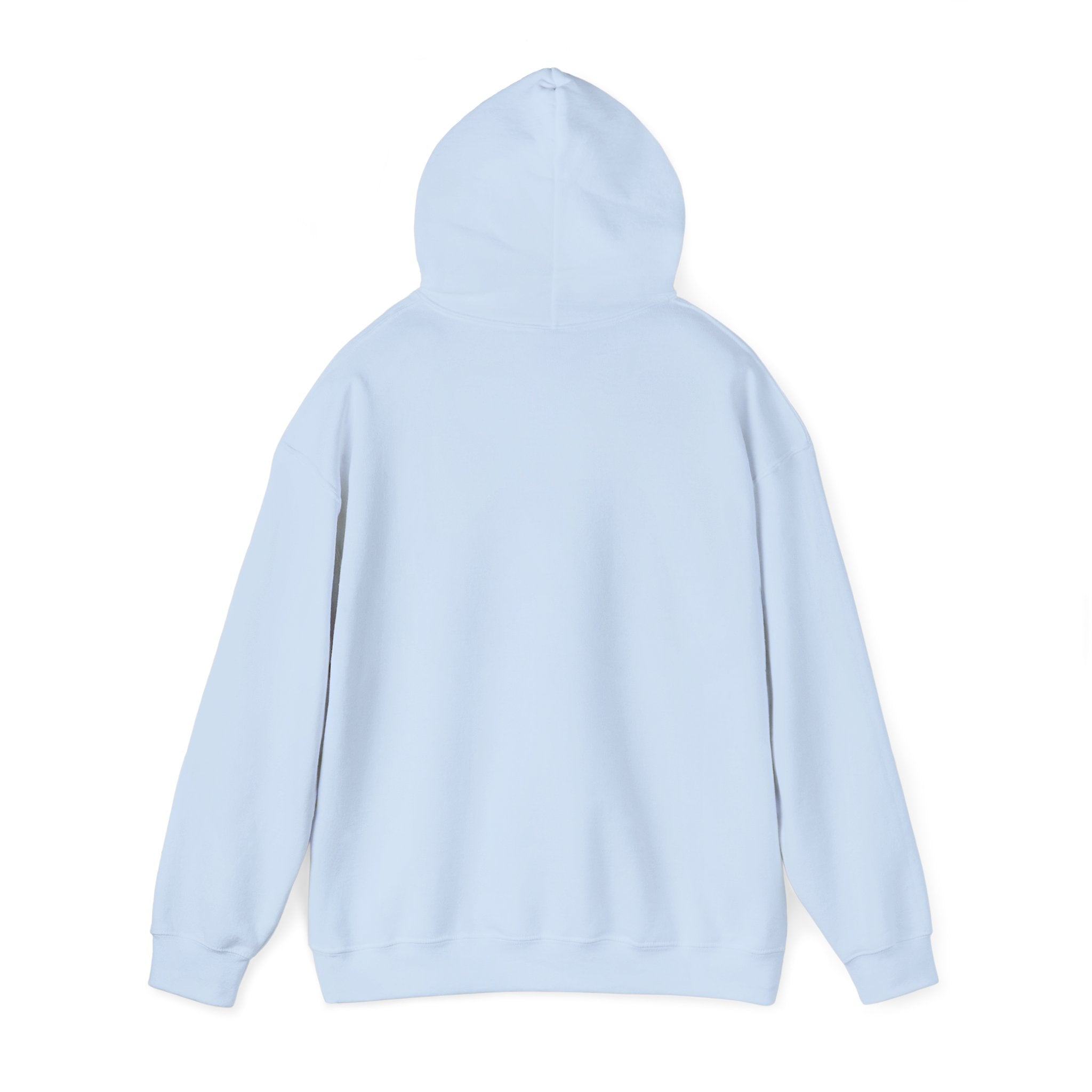 Hoodie — "This Is Me Being Reasonable" Graphic Pullover