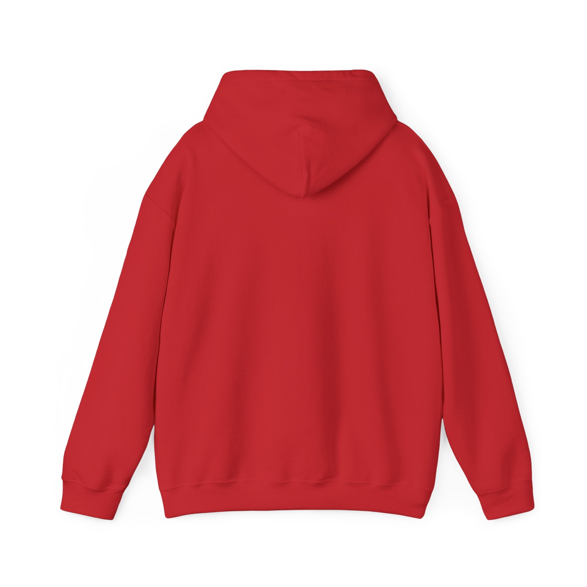 Hoodie - "Hot Flashes & Zero Tolerance" Retro Graphic Women’s Men’s Menopause Humor Pullover